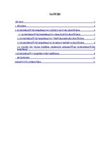 Referāts 'Komunikatīvās barjeras un to atrisināšanas iespējas', 2.