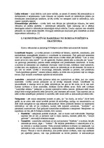 Referāts 'Komunikatīvās barjeras un to atrisināšanas iespējas', 6.