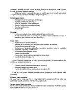 Referāts 'Komunikatīvās barjeras un to atrisināšanas iespējas', 10.