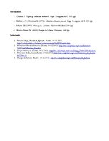 Konspekts 'Spilgtākās personības Spānijas glezniecībā 17.gadsimtā', 14.