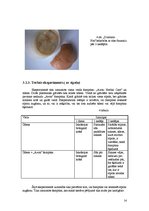 Referāts 'Šampūni, to sastāvs un ietekme uz cilvēka veselību', 14.