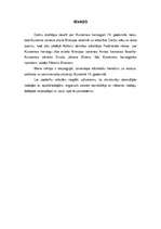 Referāts 'Kurzemes - Zemgales hercogiste 18.gadsimtā', 2.