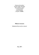 Referāts 'Mākslinieks renesansē', 1.