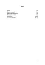 Referāts 'Mākslinieks renesansē', 2.