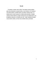 Referāts 'Mākslinieks renesansē', 3.