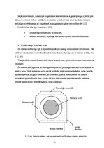 Diplomdarbs 'Optiskie strāvas un sprieguma mērmaiņi', 42.