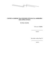 Referāts 'Cilvēku ar redzes traucējumiem integrācija sabiedrībā', 1.