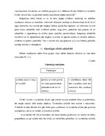 Referāts 'Cilvēku ar redzes traucējumiem integrācija sabiedrībā', 8.