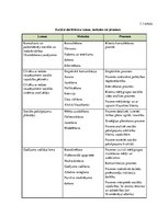 Referāts 'Cilvēku ar redzes traucējumiem integrācija sabiedrībā', 22.