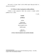 Referāts 'Cilvēku ar redzes traucējumiem integrācija sabiedrībā', 26.