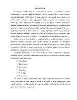 Referāts 'Cilvēku ar redzes traucējumiem integrācija sabiedrībā', 38.