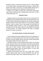 Referāts 'Sila ķirzaka', 7.