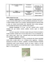 Referāts 'Patogēnās sēnītes', 7.