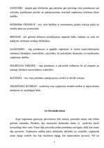 Referāts 'Mārketinga stratēģija uzņēmumā SIA "Cēsu nami"', 5.