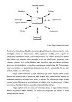 Referāts 'Mārketinga stratēģija uzņēmumā SIA "Cēsu nami"', 7.