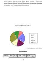 Referāts 'Mārketinga stratēģija uzņēmumā SIA "Cēsu nami"', 10.