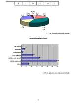 Referāts 'Mārketinga stratēģija uzņēmumā SIA "Cēsu nami"', 11.