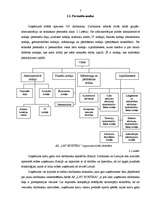 Prakses atskaite 'Prakses atskaite finanšu analīzē AS "L&T Hoetika"', 7.