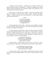 Eseja 'Veronikas Strēlertes dzejas analīze', 3.