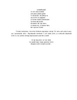 Eseja 'Veronikas Strēlertes dzejas analīze', 4.