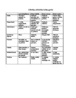 Konspekts 'Cilvēka attīstība laika gaitā', 1.