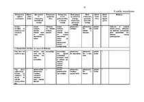 Prakses atskaite 'Prakses atskaite grāmatvedība', 58.