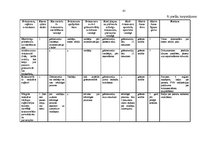 Prakses atskaite 'Prakses atskaite grāmatvedība', 61.