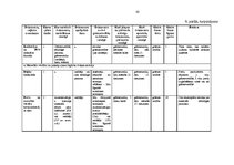 Prakses atskaite 'Prakses atskaite grāmatvedība', 62.