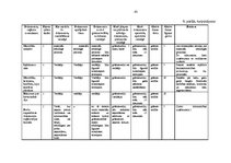 Prakses atskaite 'Prakses atskaite grāmatvedība', 63.