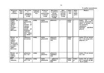 Prakses atskaite 'Prakses atskaite grāmatvedība', 70.