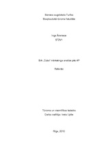 Referāts '"Cuba cafe" mārketinga analīze', 1.