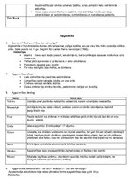 Konspekts 'Absolūtisms un apgaismība', 2.