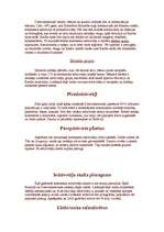 Referāts 'Dienvidamerika', 4.