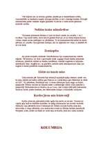 Referāts 'Dienvidamerika', 5.