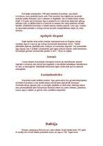 Referāts 'Dienvidamerika', 6.