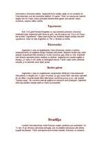 Referāts 'Dienvidamerika', 9.