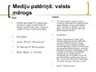 Prezentācija 'Krievijas mediju vide', 17.