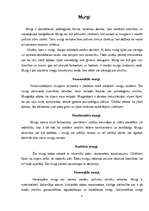 Konspekts 'Murgi', 1.