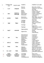 Konspekts 'Terminelementi', 1.