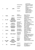 Konspekts 'Terminelementi', 2.