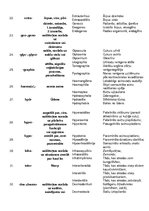 Konspekts 'Terminelementi', 3.