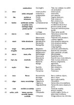 Konspekts 'Terminelementi', 4.