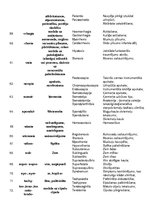 Konspekts 'Terminelementi', 6.