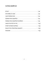 Referāts 'Gaisa piesārņojums pilsētās', 48.