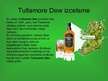 Prezentācija 'Viskija "Tullamore Dew" raksturojums', 3.