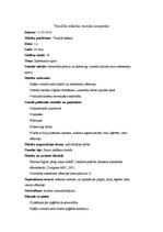 Konspekts 'Vizuālās mākslas stundas konspekts', 1.