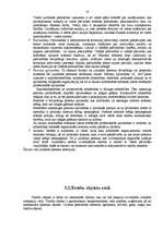 Referāts 'Privāttiesību raksturojums', 10.