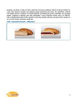 Biznesa plāns 'SIA "Pildmaizītes". Biznesa plāns', 4.