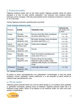 Biznesa plāns 'SIA "Pildmaizītes". Biznesa plāns', 6.