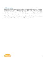 Biznesa plāns 'SIA "Pildmaizītes". Biznesa plāns', 10.